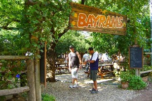 Bayrams Tree Houses Olympos