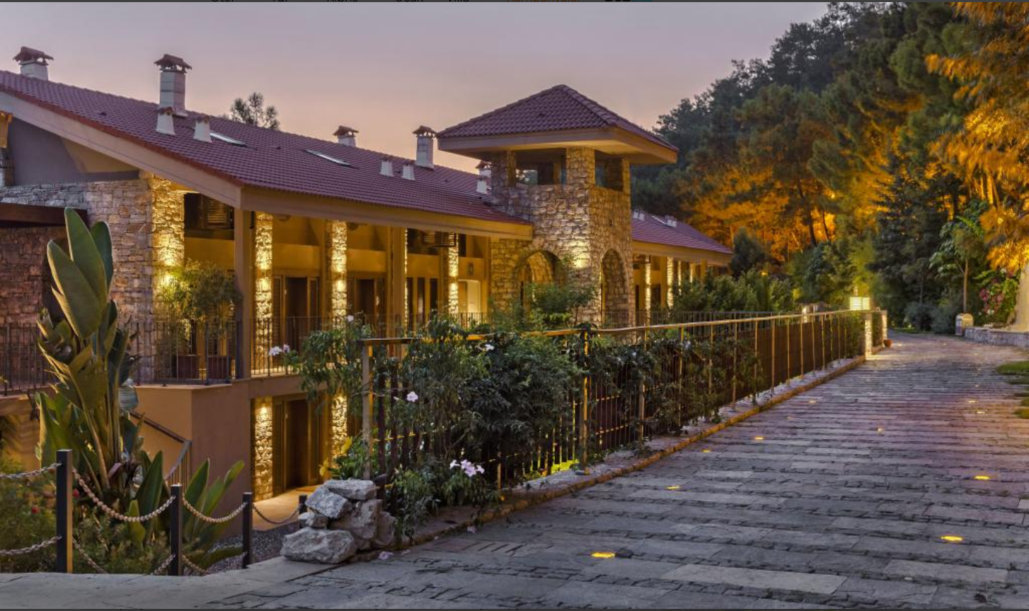 Martı Hemithea Orhaniye Marmaris